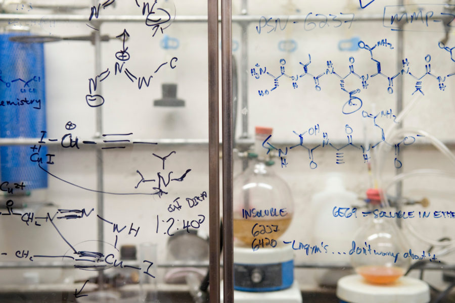 Notes, equations and chemical structures of peptides, fragments of proteins, are written on the glass of a fume hood in Laura L. Kiessling's research lab