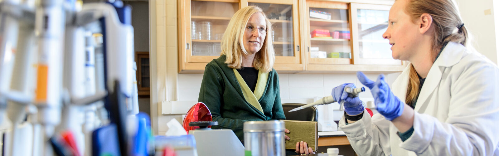 Lauren Riters, professor of zoology, talks with graduate students during a lab review in Birge Hall at the University of Wisconsin-Madison