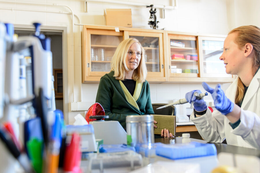 Lauren Riters, professor of zoology, talks with graduate students during a lab review in Birge Hall at the University of Wisconsin-Madison