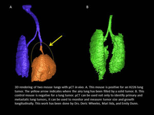 3D rendering of two mouse lungs with μCT in vivo. Left, mouse is positive for an H226 lung tumor; the airy lung has been filled by a solid tumor. Right, the control mouse is negative for a lung tumor.