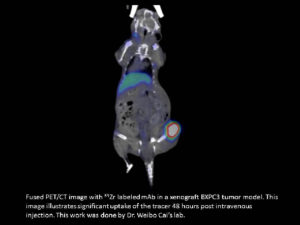 Fused PET/CT image of rodent showing significant uptake of the tracer 48 hours post injection.