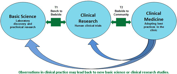 Translational Research Process – UWCCC Research – UW–Madison