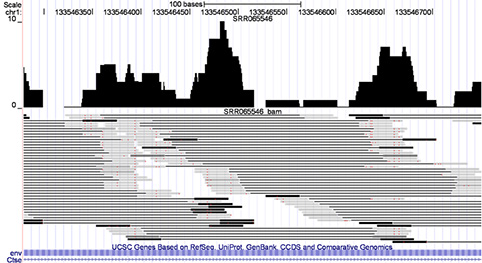 Probabilistically-weighted RNA-Seqalignments