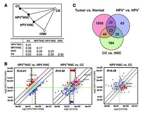 Three graphs related to Drs. Lambert and Ahlquist's human cancer virology program