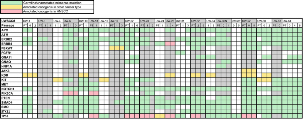 Chart of mutational profile of patient and xenograft samples, showing patient primary tumor samples, and first and last xenograft passages with usable sequence data for a given tumor