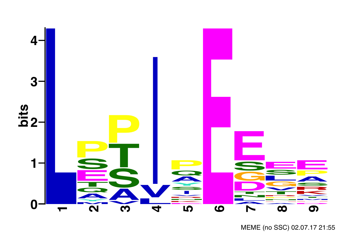 Positional specific scoring matrix showing the motif of B'α subunit of PP2A's binding sites.