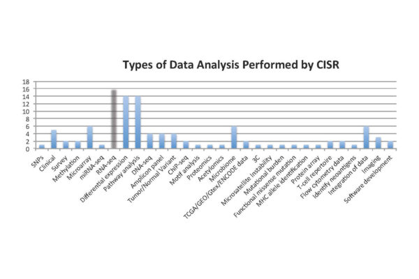 Bar graph of the types of data analysis performed by CISR