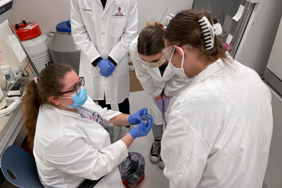 students learning in lab