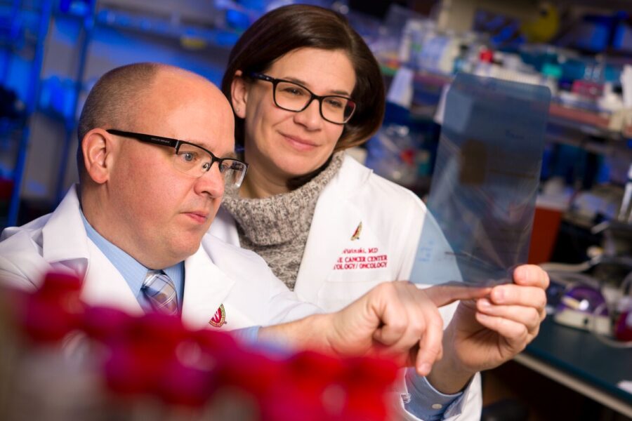 Researchers in the lab