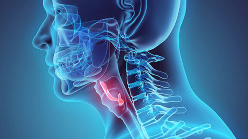 Head and Neck SPORE X-Ray Shot