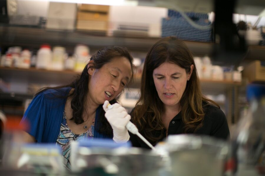 two researchers performing experiment