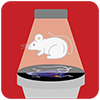 Small Animal Imaging and Radiotherapy Facility Logo