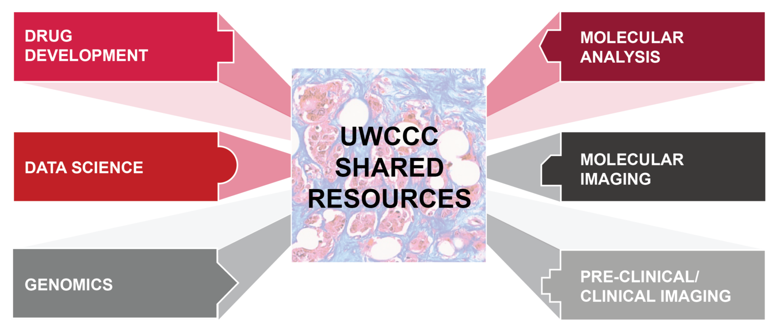 Diagram of Shared Resource Categories. Includes Drug Development, Data Science, Genomics, Molecular Analysis, Molecular Imaging, and Pre-Clinical/Clinical Imaging tabs
