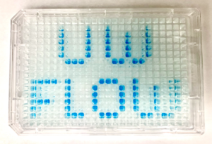 UW Flow Lab Title