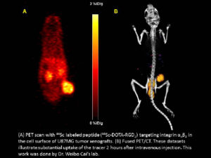 (A) PeT scan with 44Sc labeled peptide targeting integrin αvβ3 in the cell surface of U87MG tumor xenografts. (B) Fused PET/CT. These datasets illustrate substantial update of the tracer 2 hours after intravenous injection. This work was done by Dr. Weibo Cai's lab.